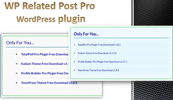 WP Related Post Pro  Related Content for WordPress Plugin by WPcodeQuillcom